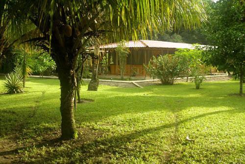 Turtle Beach Lodge Тортугеро Екстер'єр фото